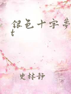 银色十字梦txt