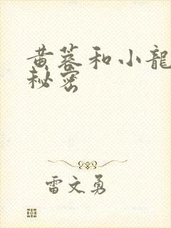 黄蓉和小龙女的秘密