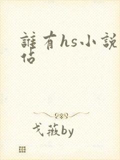 谁有hs小说网站