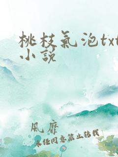 桃枝气泡txt小说