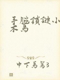 手腕锁链小黑屋木马