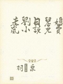 老刘日儿媳妇张岚小说免费阅读
