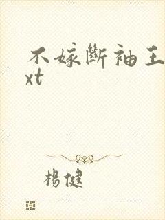 不嫁断袖王爷txt