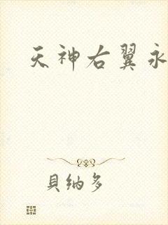 天神右翼永恒
