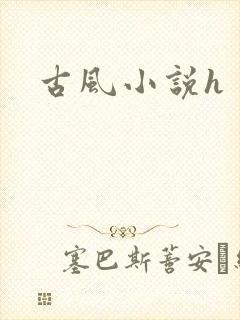 古风小说h