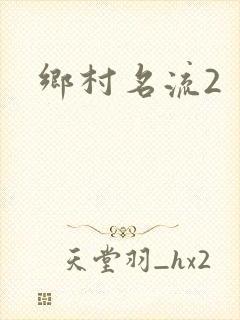 乡村名流2