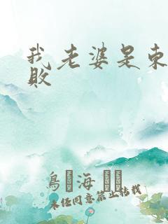 我老婆是东方不败