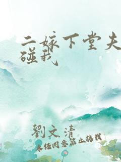 二嫁下堂夫君别碰我