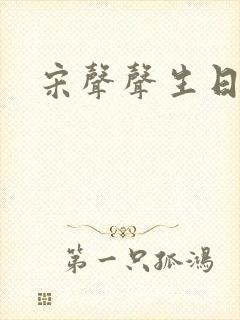 宋声声生日