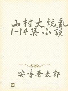 山村大炕乱肉续1-14集小说
