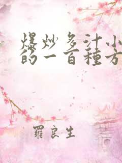 爆炒多汁小美人的一百种方法