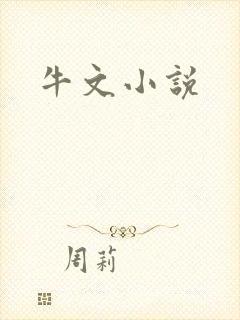 牛文小说