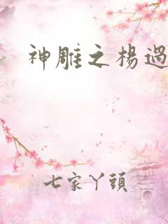 神雕之杨过新传