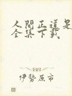 人间正道是沧桑全集下载