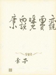 唐向暖南亦琛的小说免费观看