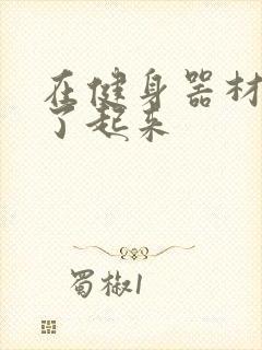 在健身器材上做了起来