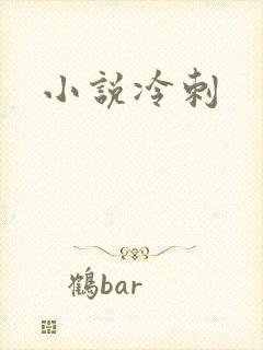 小说冷刺