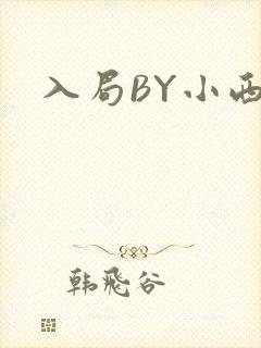入局BY小西