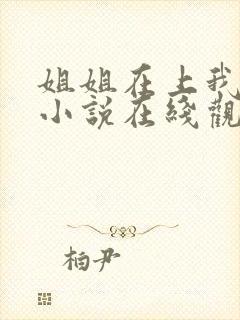 姐姐在上我在下小说在线观看