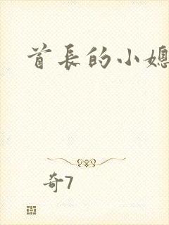 首长的小媳妇