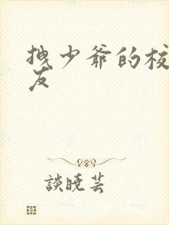 拽少爷的校花女友