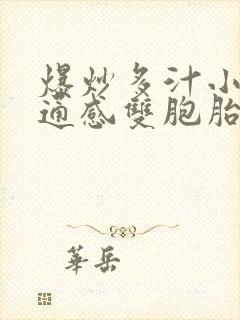 爆炒多汁小美人通感双胞胎