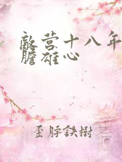 敌营十八年2虎胆雄心