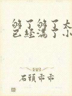 够了够了太多了已经满了小说