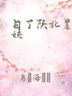 日了陕北农村婆姨