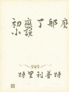 初恋了那么多年小说