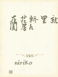 在花轿里就开始圆房h