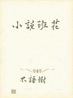 小说班花