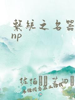 系统之名器攻略np