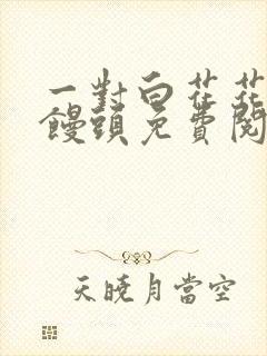 一对白花花的大馒头免费阅读