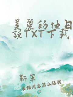 美丽的他日剧小说TXT下载