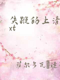 失踪的上清寺txt