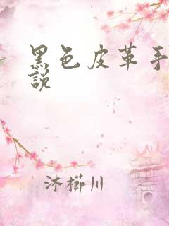 黑色皮革手册小说