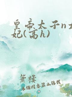 皇帝太子n太子妃(高h)