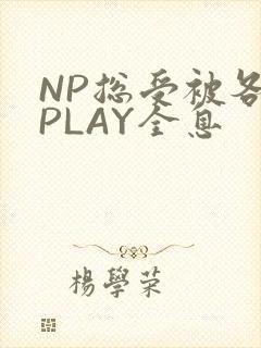 NP总受被各种PLAY全息