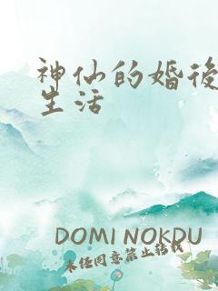 神仙的婚后都市生活