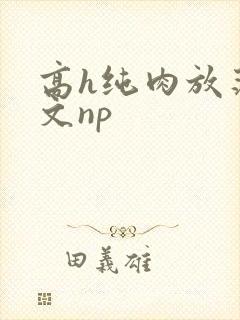 高h纯肉放荡h文np