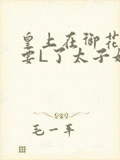 皇上在御花园里要L了太子妃