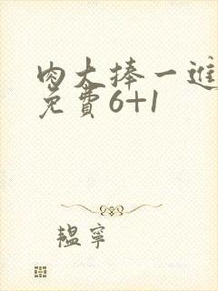 肉大捧一进一出免费6+1