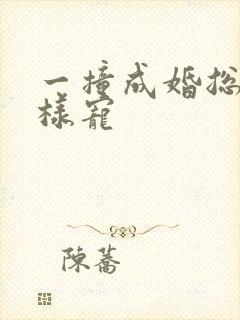 一撞成婚总裁花样宠