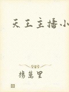 天王主播小说