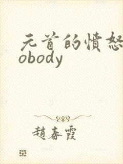 元首的愤怒之nobody