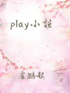 play小说