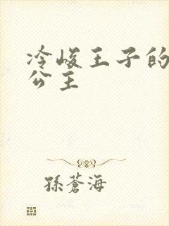 冷峻王子的完美公主