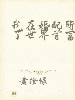 我在婚配所摇到了世界首富小说