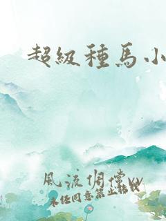 超级种马小说